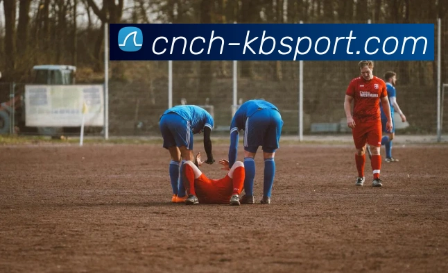 KB体育官网平台生态图